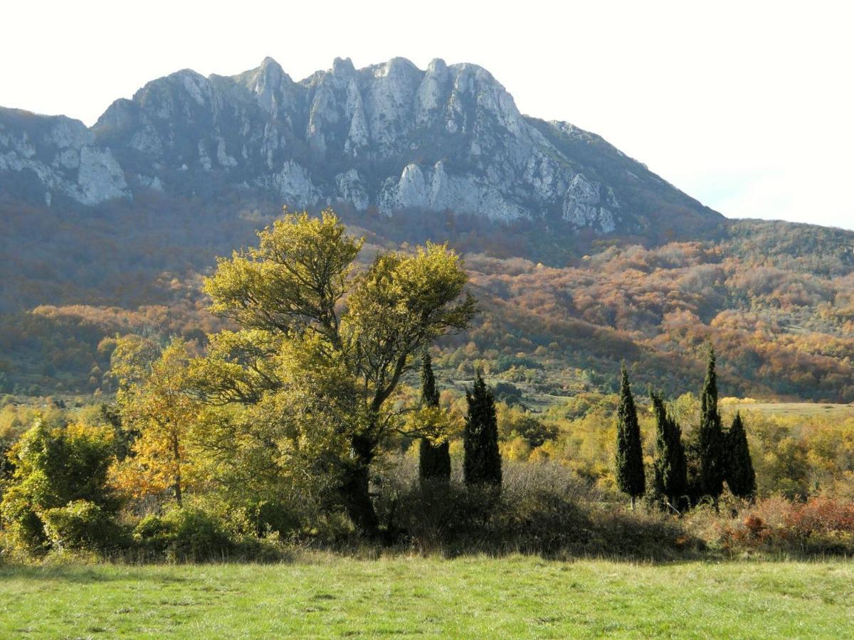 Gite De La Bastide - Cabania Pays Cathare Camps-sur-l'Agly Esterno foto