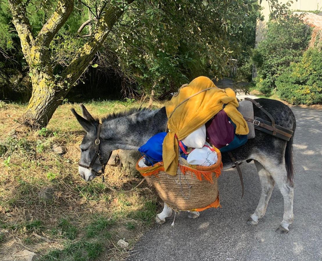 Gite De La Bastide - Cabania Pays Cathare Camps-sur-l'Agly Esterno foto